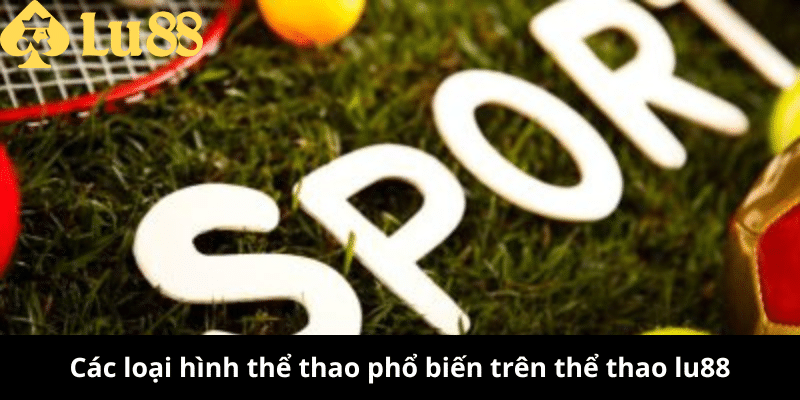 Thể Thao Lu88 - Cá Cược Bóng Đá, Thắng Lớn Mỗi Trận! thể thao lu88
