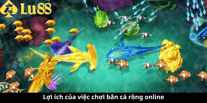 Bắn cá rồng online - Trải nghiệm trò chơi giải trí bắn cá ăn tiền bắn cá rồng online